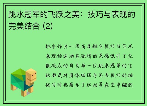 跳水冠军的飞跃之美：技巧与表现的完美结合 (2)